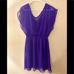 Purple Express Sheer Lined Dress